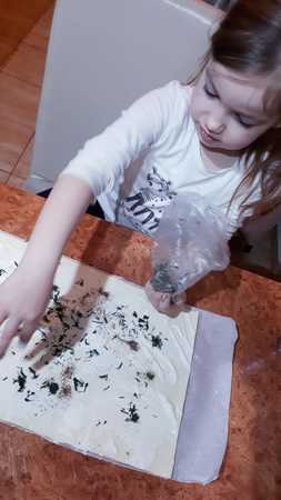 Img 20200323 Wa0008