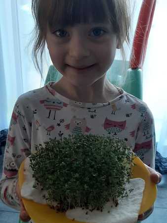 Img 20200407 Wa0003