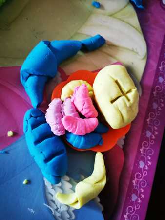 Img 20200417 Wa0009