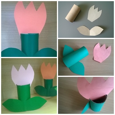 Tulipany Z Rolki 1