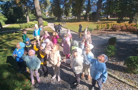 1000095985 1000095985