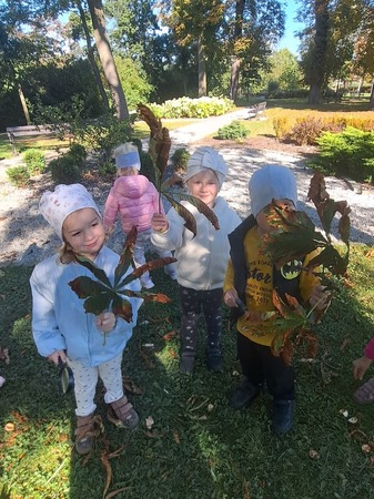 1000095979 1000095979