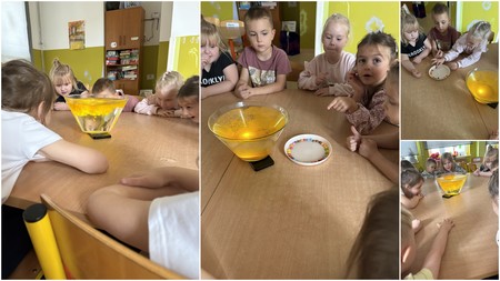 Zajaczki I Innowacja Czuciaki