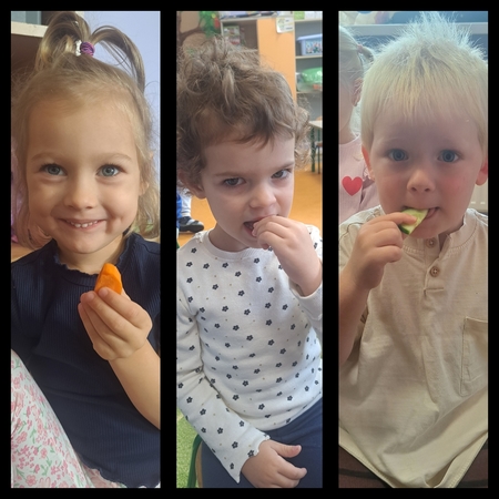 1000098187 1000098187