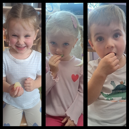 1000098188 1000098188