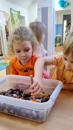 Img 20251030 111629617 Ae