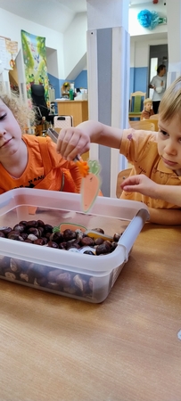 Img 20251030 111632127 Ae