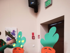 Album_img_20181030_111012_resized_20181031_121641977